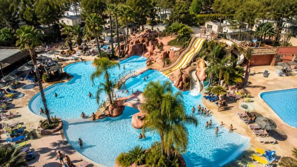 Offrez-vous des vacances inoubliables au camping Les Palmiers à Hyères